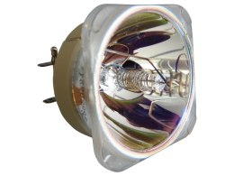 PHILIPS UHP 310-245W 1.0 E20.9