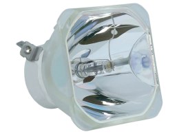 Zamienna bańka do KINDERMANN KX535W-LAMP