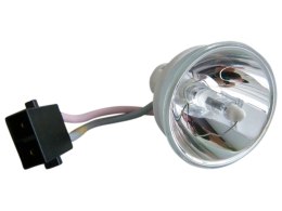 Oryginalna bańka PHOENIX do Toshiba EX20 ST20