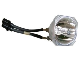 Oryginalna bańka PHOENIX do Toshiba TDP-MT200 TDP-MT400 MT400