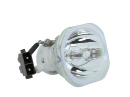 Oryginalna bańka PHOENIX do Toshiba TDP-TW100J TDP-TW100U TDP-T100J TDP-T100U TDP-TW100 TDP-T100 TDP-T99U TLP-T100 TDP-T99