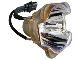 Oryginalna bańka USHIO do Toshiba TDP-TW420U TDP-T360U TDP-T420U TDP-TW420 TDP-T360 TDP-T420 TDT-T360