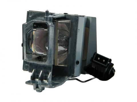 Lampa do projektora Optoma DS349 DX349 S341 W340 W341 W344 W345 W354 W355 X340 X341 X344 X345 oryg bańka