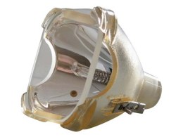 Oryginalna bańka PHILIPS do Toshiba TLP790MJ TLP791MJ TLP-790 TLP-791 TLP790J TLP791J