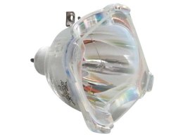Oryginalna bańka PHILIPS do AKAI PT50DL14